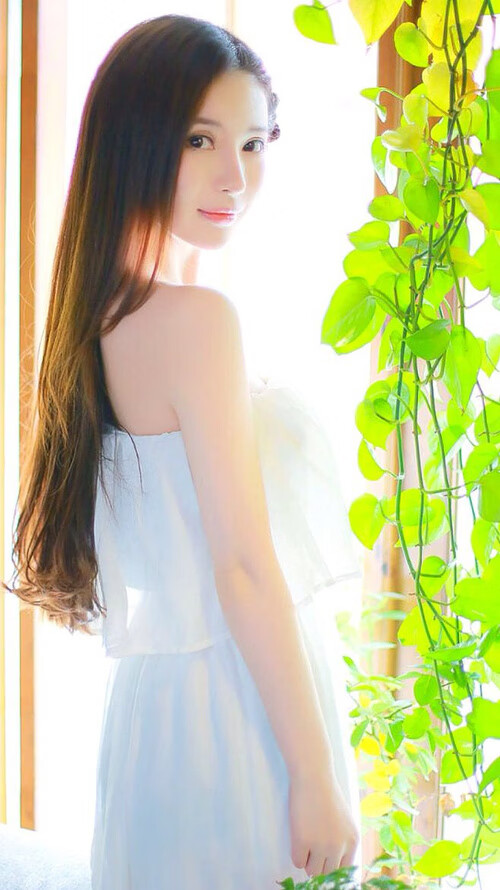 波尔棋局，当高卢雄鸡的战术齿轮碾碎三狮军团