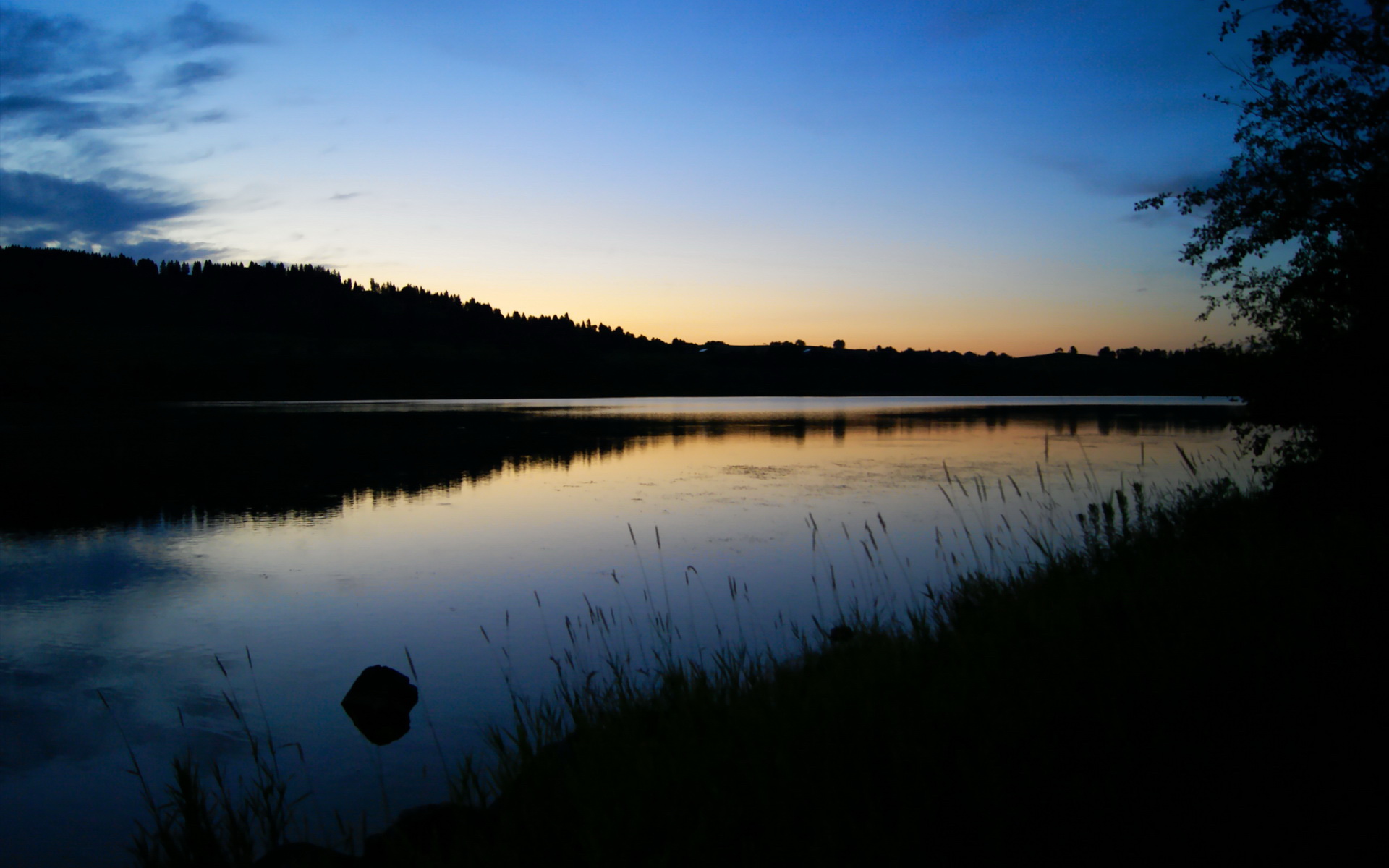 胜利天平与孤胆英雄，福克斯如何导演上海史诗级逆转