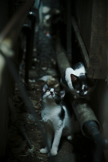 乌拉圭对阵苏格兰，凯恩一剑破雾，永恒瞬间定乾坤