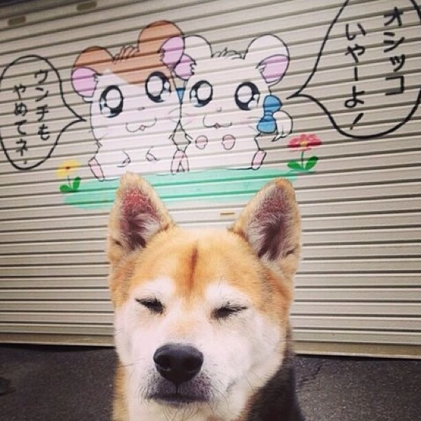 从0到100%末节詹皇觉醒 北京铁骑踏碎广厦防线