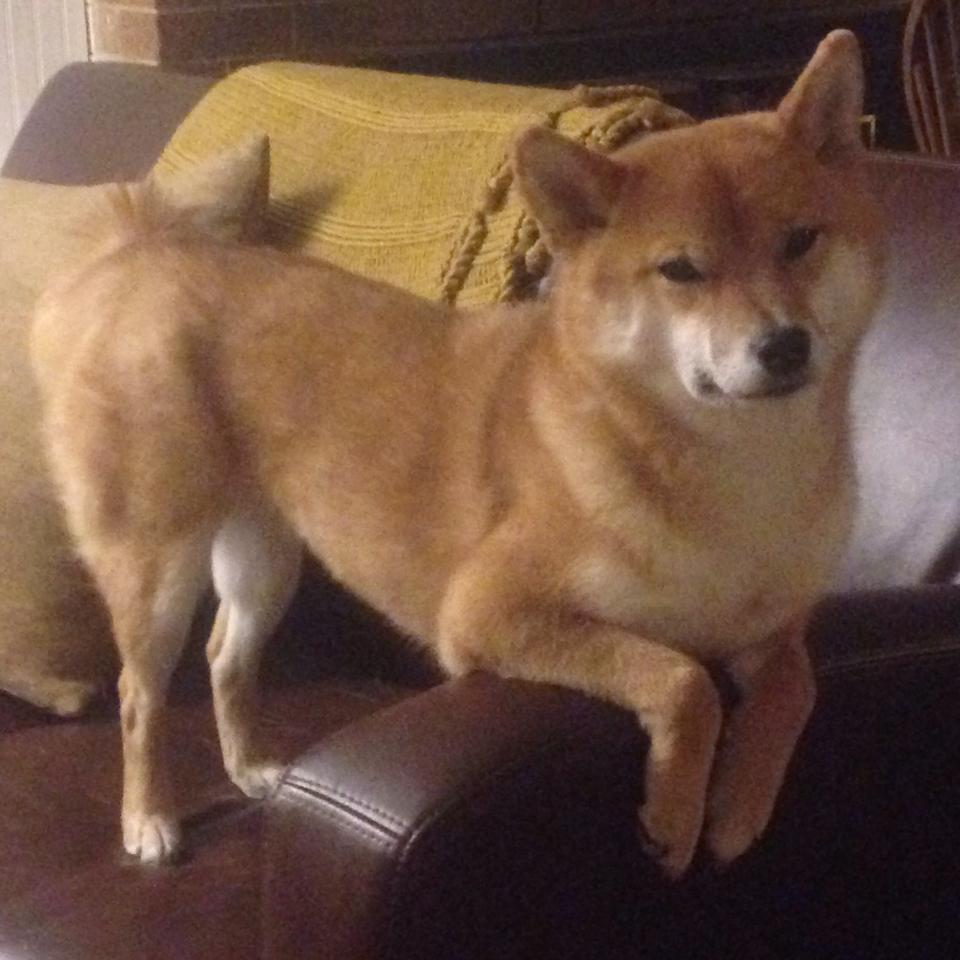 接管之日，尼克斯轻取魔术，乔治统治F1街道赛