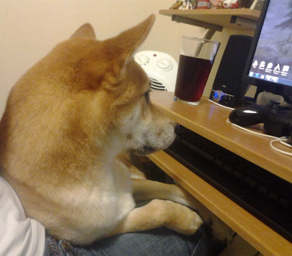 末节惊雷,勇士逆转深圳启示录—哈登如何成为比赛的灵魂变奏家