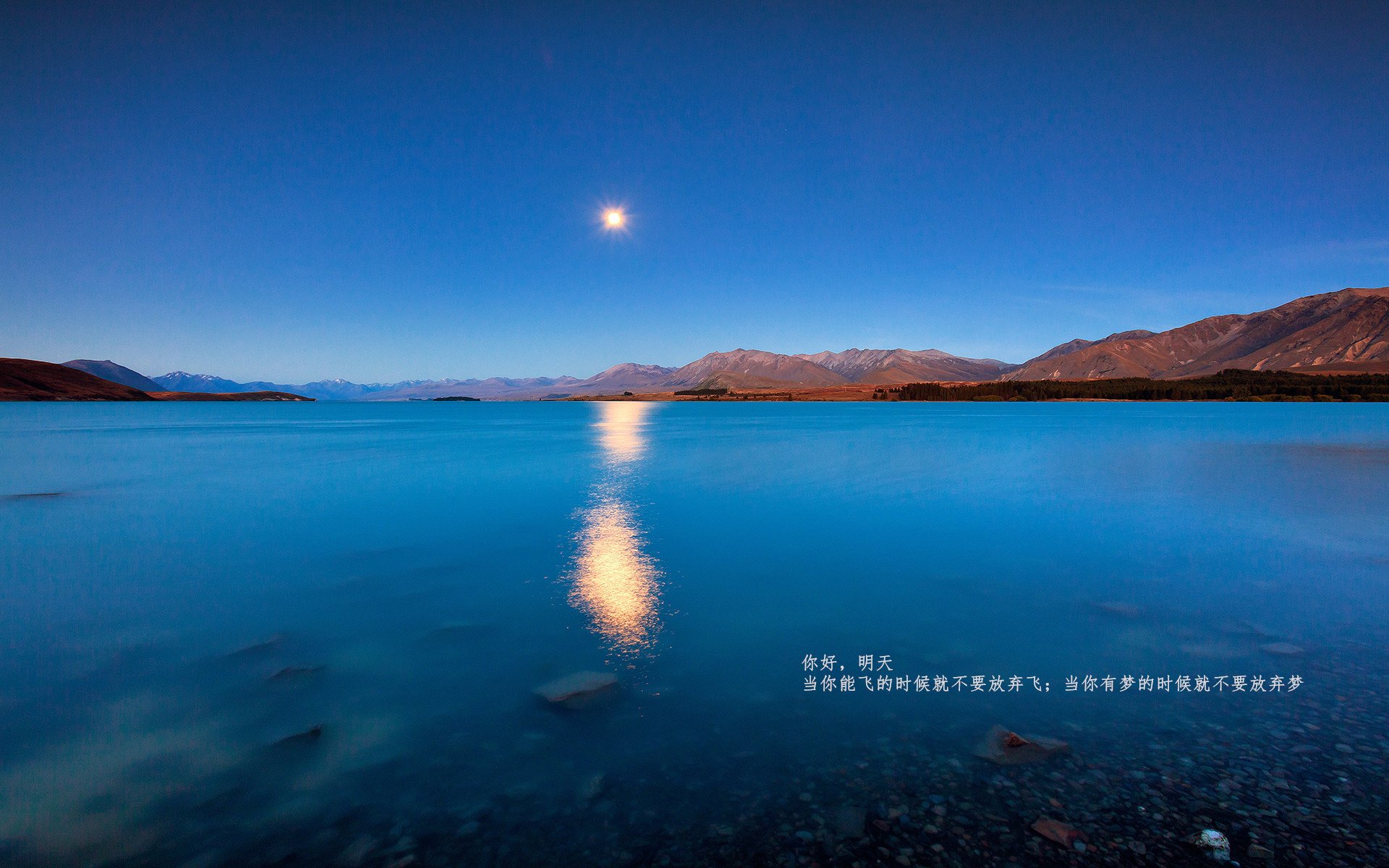 引擎咆哮与篮筐震颤,F1收官夜的锡安数据双重奏