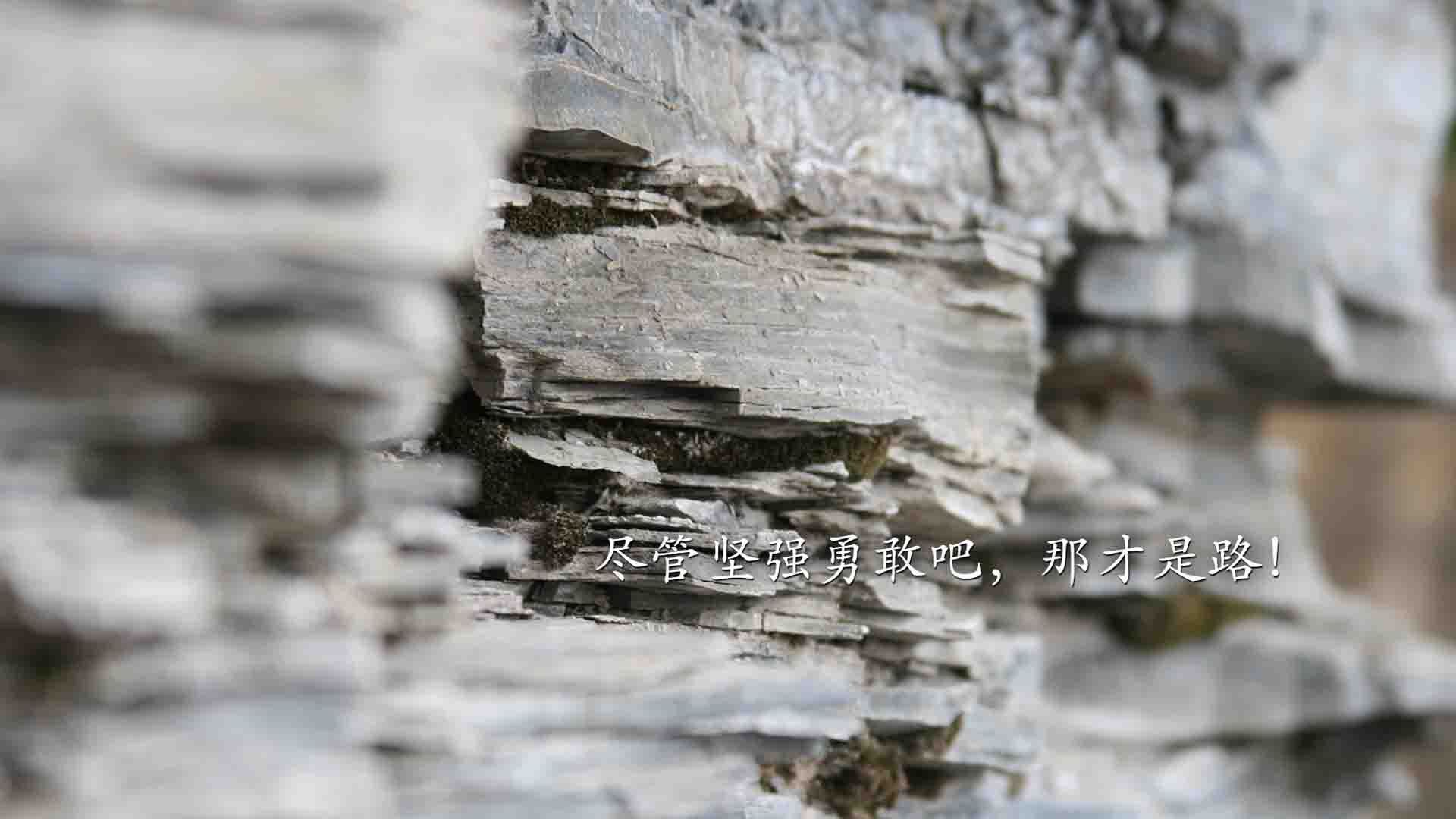 贝蒂斯闪电战提前终结悬念,范迪克关键先生主宰尤文之战