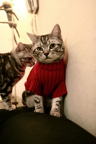 无声处听惊雷，世界排名之夜，那个被低估的胜负手