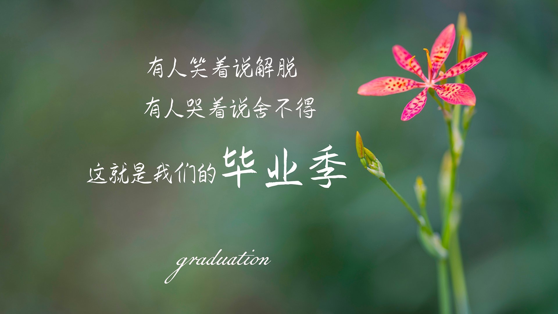 独舞与交响,内马尔的瞬间与克罗地亚的乐章