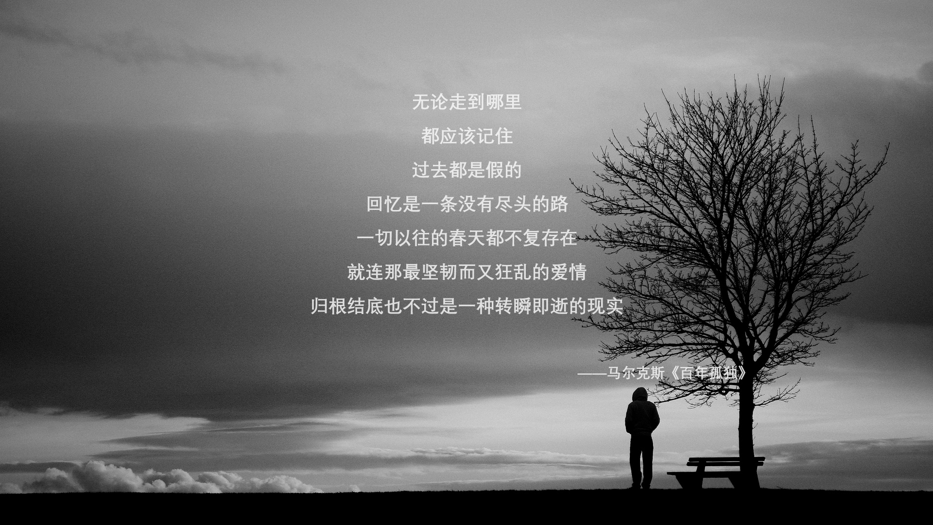 当冰霜之心燃起烈焰，哈兰德在奥地利堡垒前刺穿尤文图斯的黄昏