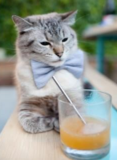 战术棋盘上的新引擎，格纳布里临场变位如何颠覆摩洛哥对阵希腊的战局