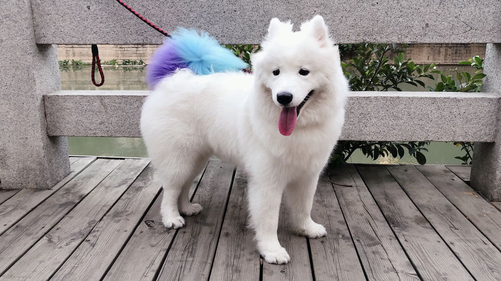 波斯铁骑加时绝杀尤文，巴尔韦德化身关键先生导演逆转奇迹