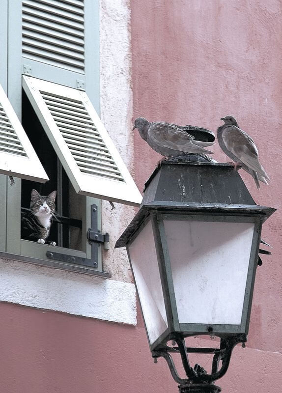 全球舞台焦点，贝蒂斯绿茵破局对阵那不勒斯的排名争夺战