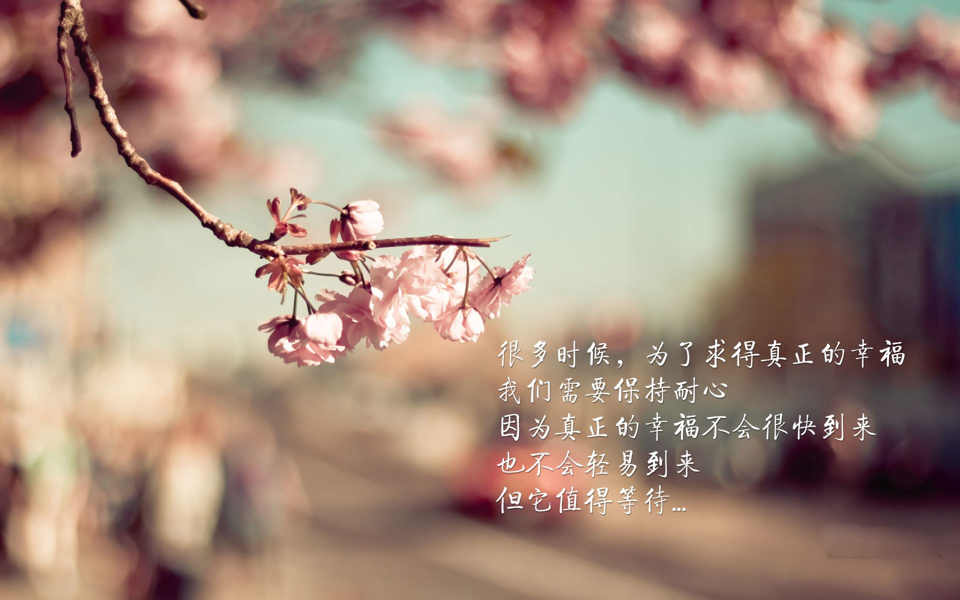暗夜中的雄狮,当2026世界杯C组的默契配合撕碎德国战车,京多安以致命一击书写喀麦隆式奇迹