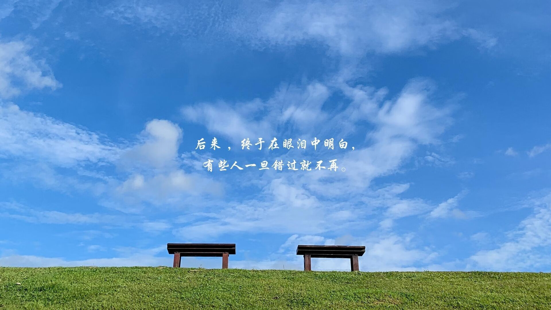 爱游戏官网-宿命之蓝，厄瓜多尔之矛刺穿波兰之盾，范戴克引领铁血军团杀出B组重围